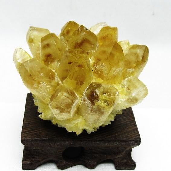 シトリン クラスター シトリンクォーツ 原石 台座付属 一点物 182-8461