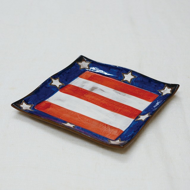 アメリカン 角６寸皿