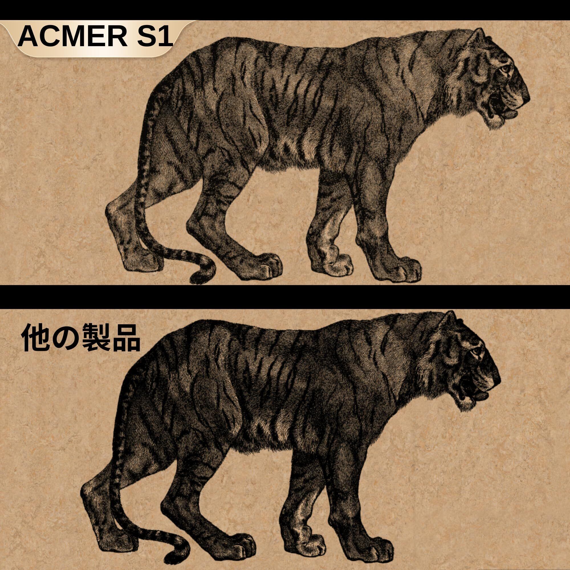 ACMER S1 レーザー彫刻機 入門 初心者 高精度 ミニ 彫刻機 LightBurn