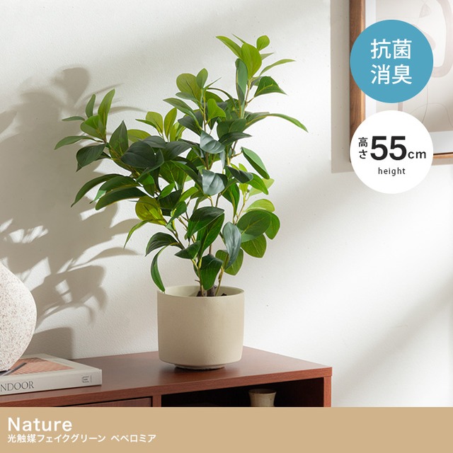 光触媒人工観葉植物 パキラ 曲がり 幅72cm×奥行50cm×高さ160cm