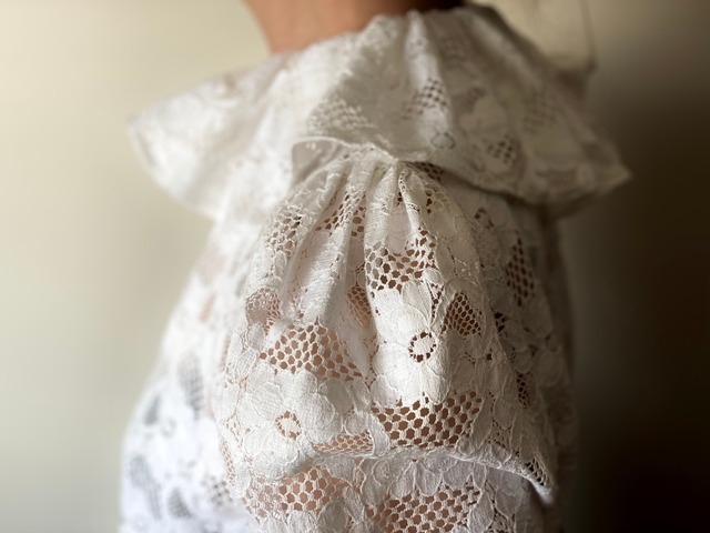 Ruffle Collar Lace Blouse