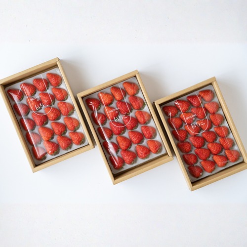 【食べ比べ・大容量】紅ほっぺ・きらぴ香・おいCベリーの1,200gランダムパック【ゆりかーごパック】