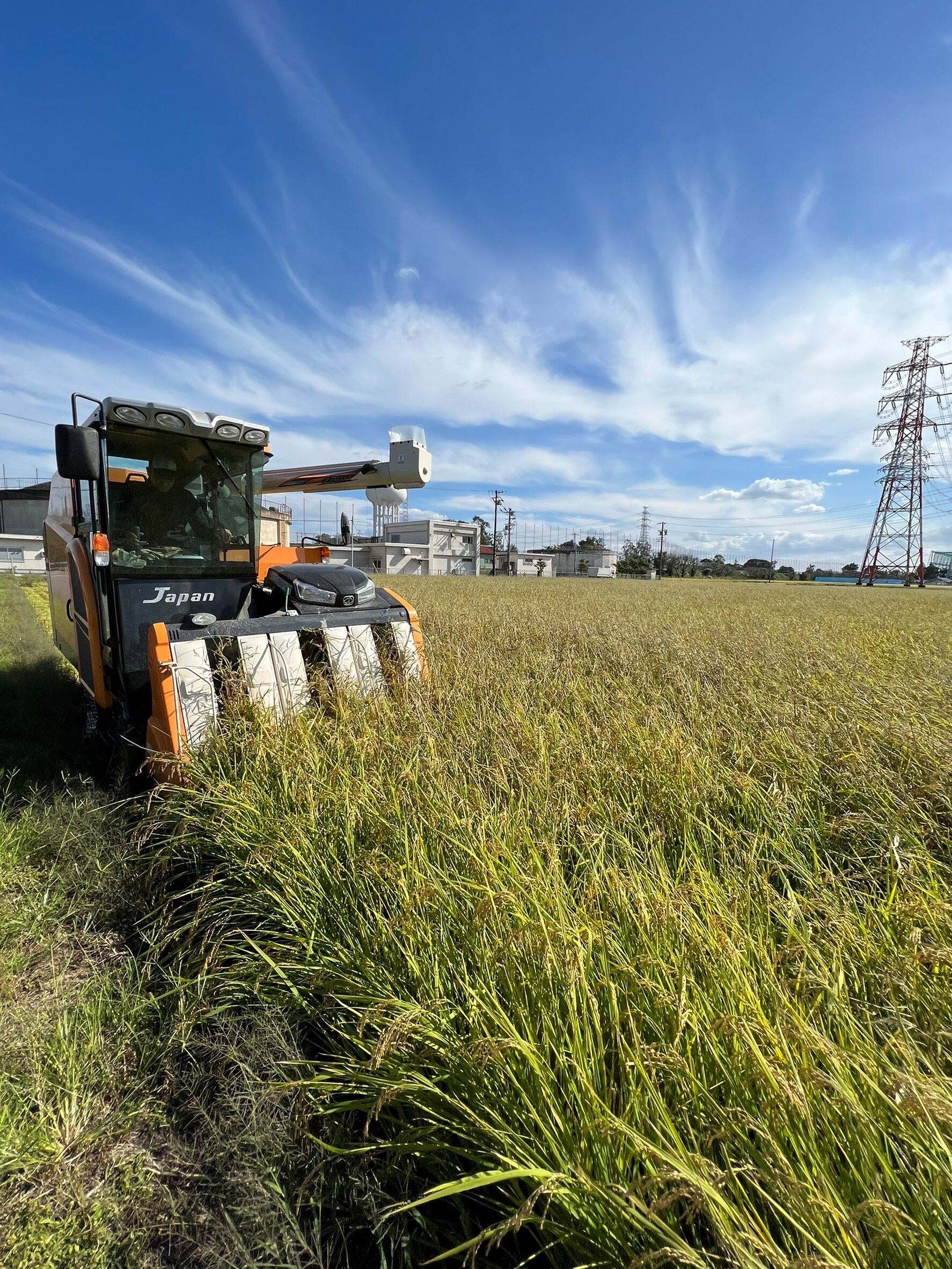 無農薬栽培米6kg(2kg×3袋)『つちのおと』あいちのかおり【精米済】 おまとめパック(酵素ミネラル農法)愛知県産【令和7年産】