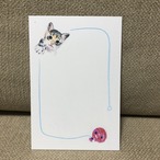 ポストカード　84（子猫）