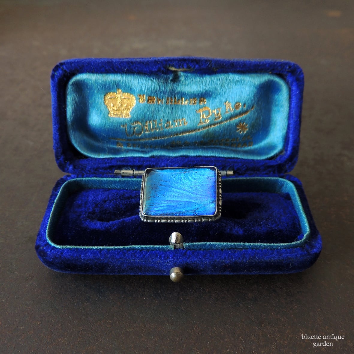 □モルフォ蝶（バタフライウィング） | アンティークジュエリー