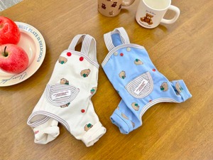 予約  【pecoramou select】 Apple Bear AllinOne（Blue）