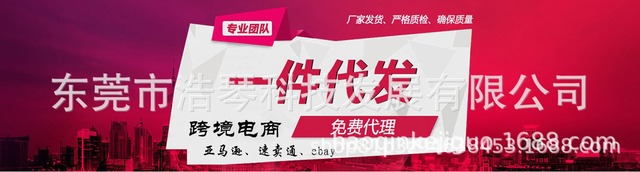 ステンレス製ガウボックスペンダント 실속
