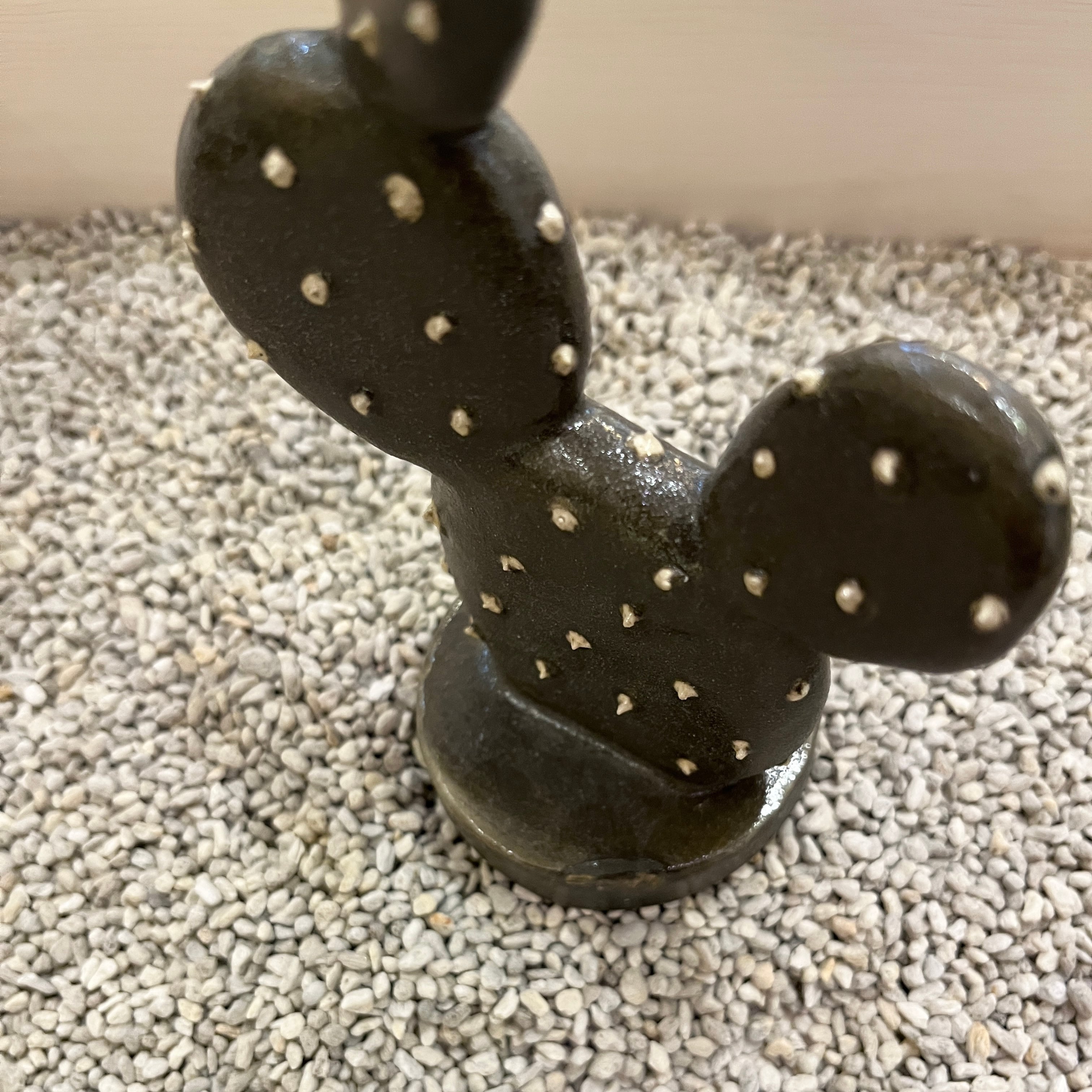 STUDIO.ZOK 陶植 ウチワサボテン 小 | ihana design(イハナデザイン）