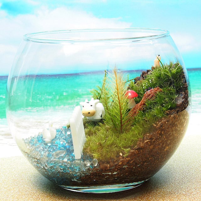 苔テラリウム・手作りキット一式】牛と白鳥の湖 | 工房・津軽moss