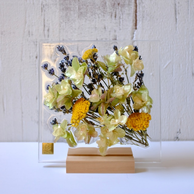 sumika dried flower square　カシワバアジサイとノコギリソウ