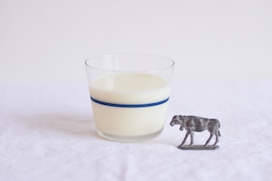 ▲1月5日以降発送▲【1月】季節のジェラートギフト　12個セット