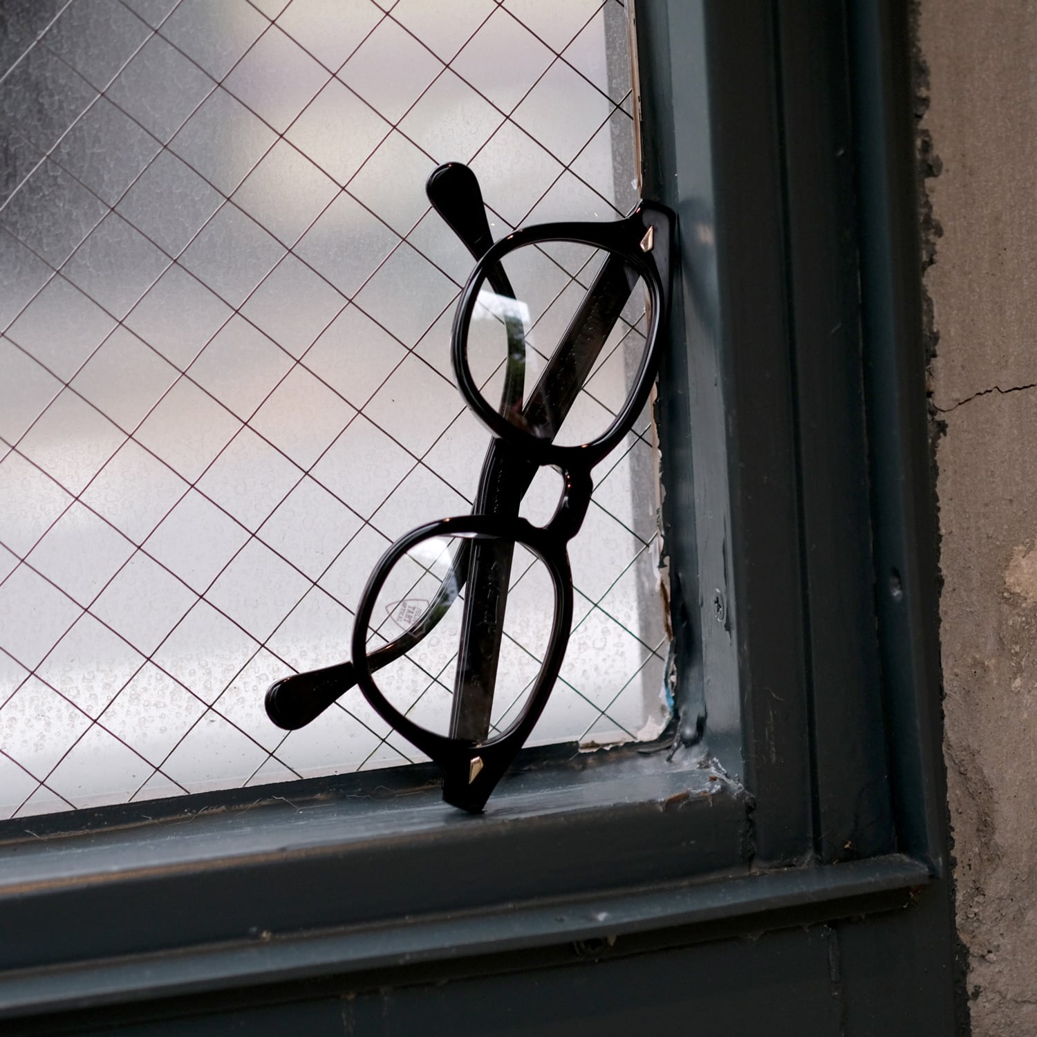 JULIUS TART OPTICAL】AR 48□22 - Olive Green Sasa (LARGE) | SEESAW