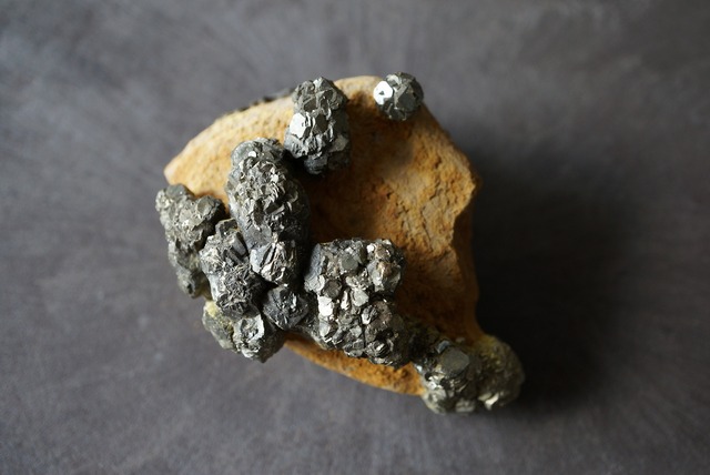 パイライト / リモナイト  Pyrite / Limonite 877