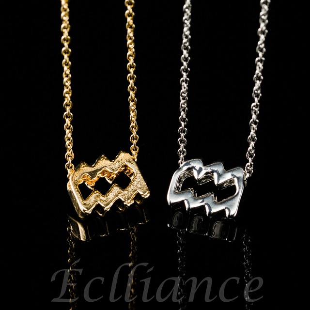 【水瓶座】12 Constellation Necklace