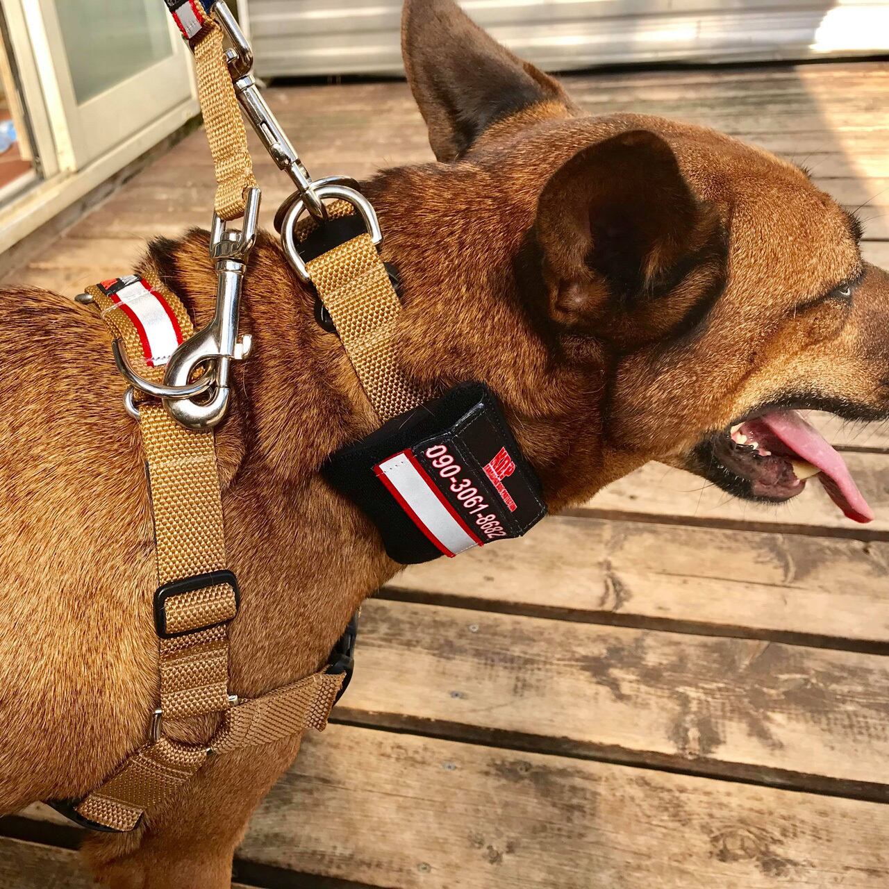 Sセレクション製ダブルリード（KDPオリジナル） | KDP：神奈川