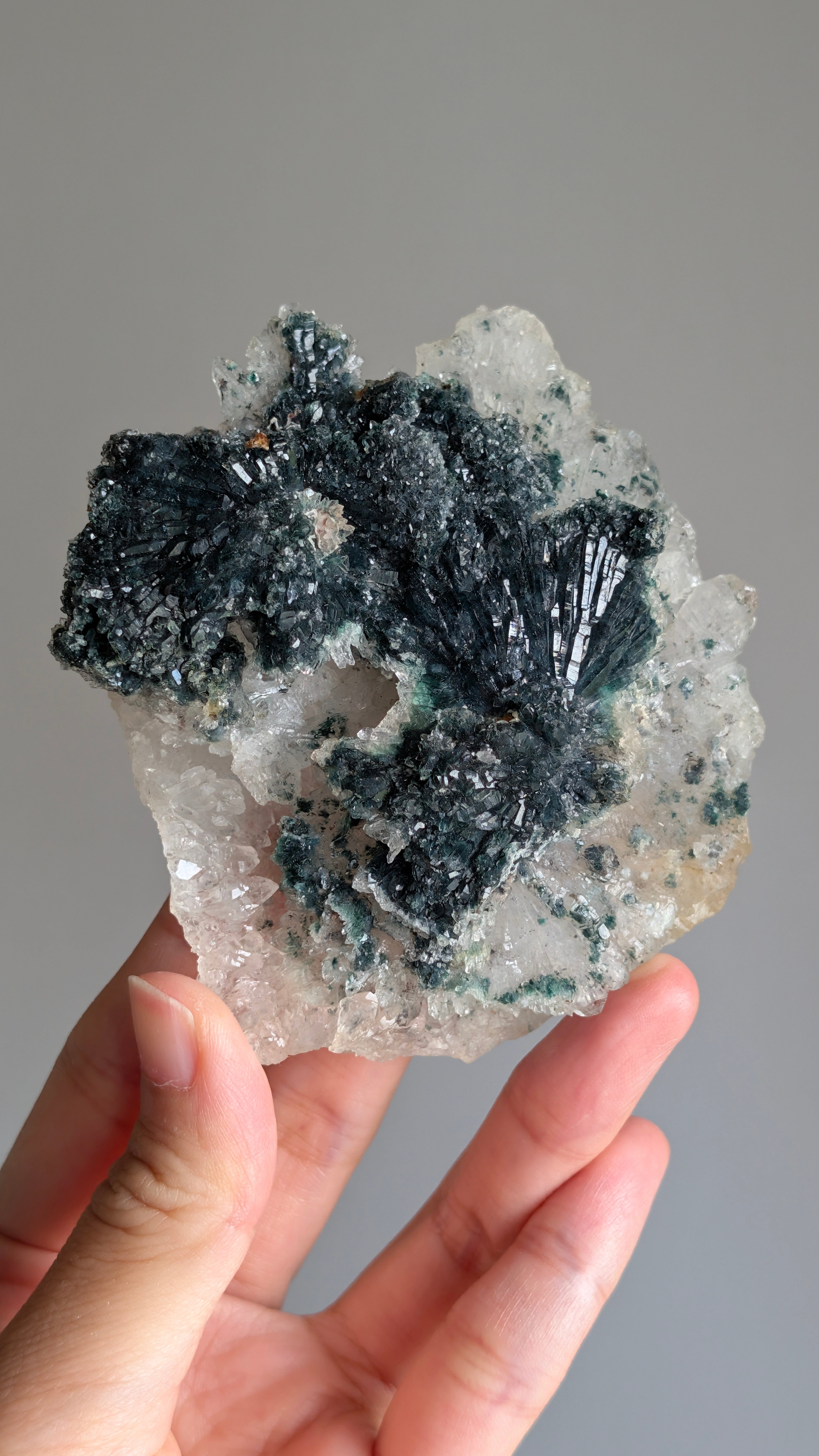 Ocean Jasper オーシャンジャスパー ⭓ 海の碧玉 ⭔ GUARDIAN 握り石