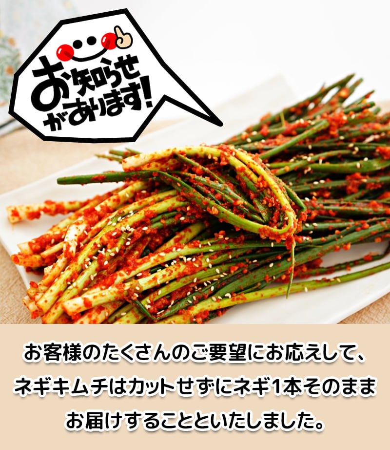 おいしい伝統自家製【ネギキムチ500g】【冷蔵発送】 | 韓国政府の