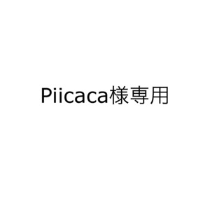 ※Piicaca様専用ページ※