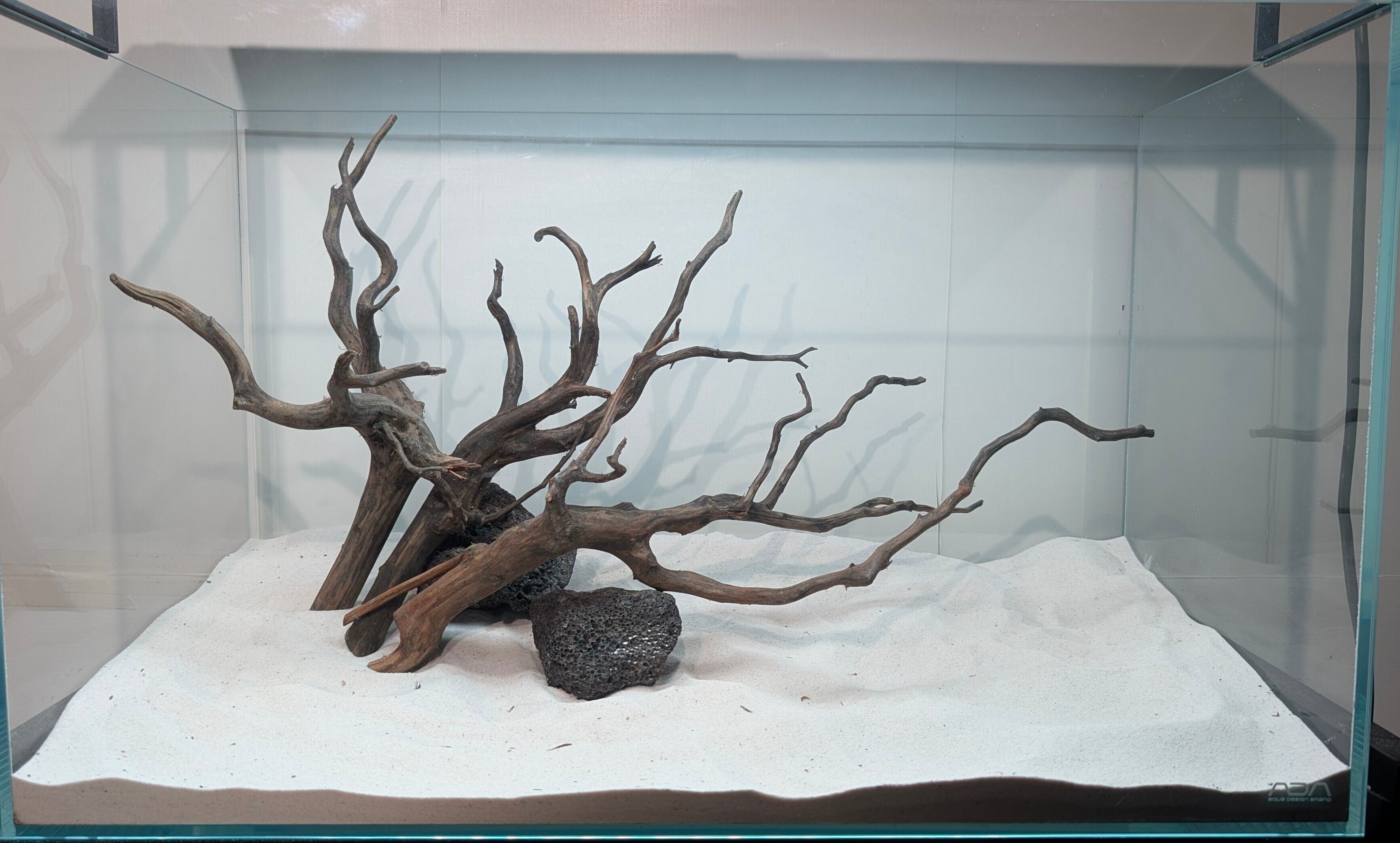 レイアウトセット【LSB016】 スマトラブランチウッド 水槽 まとめ買い対応 レイアウトセット【LSB016】 スマトラブランチウッド 水槽 まとめ買い