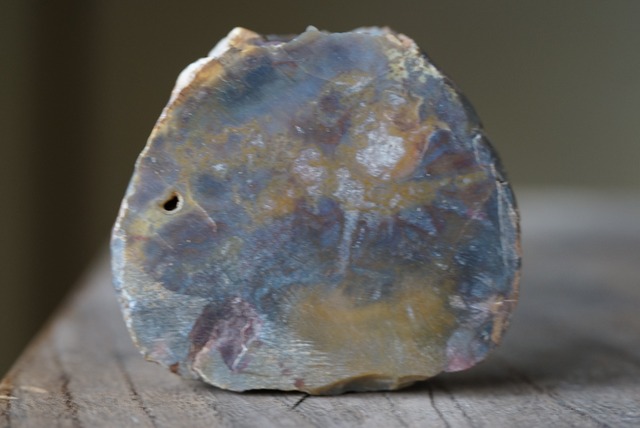 珪化木 Araucarioxylon 24