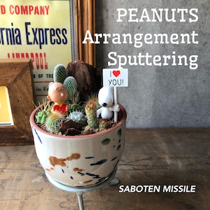 PEANUTS Arrangement Sputtering スパッタリング