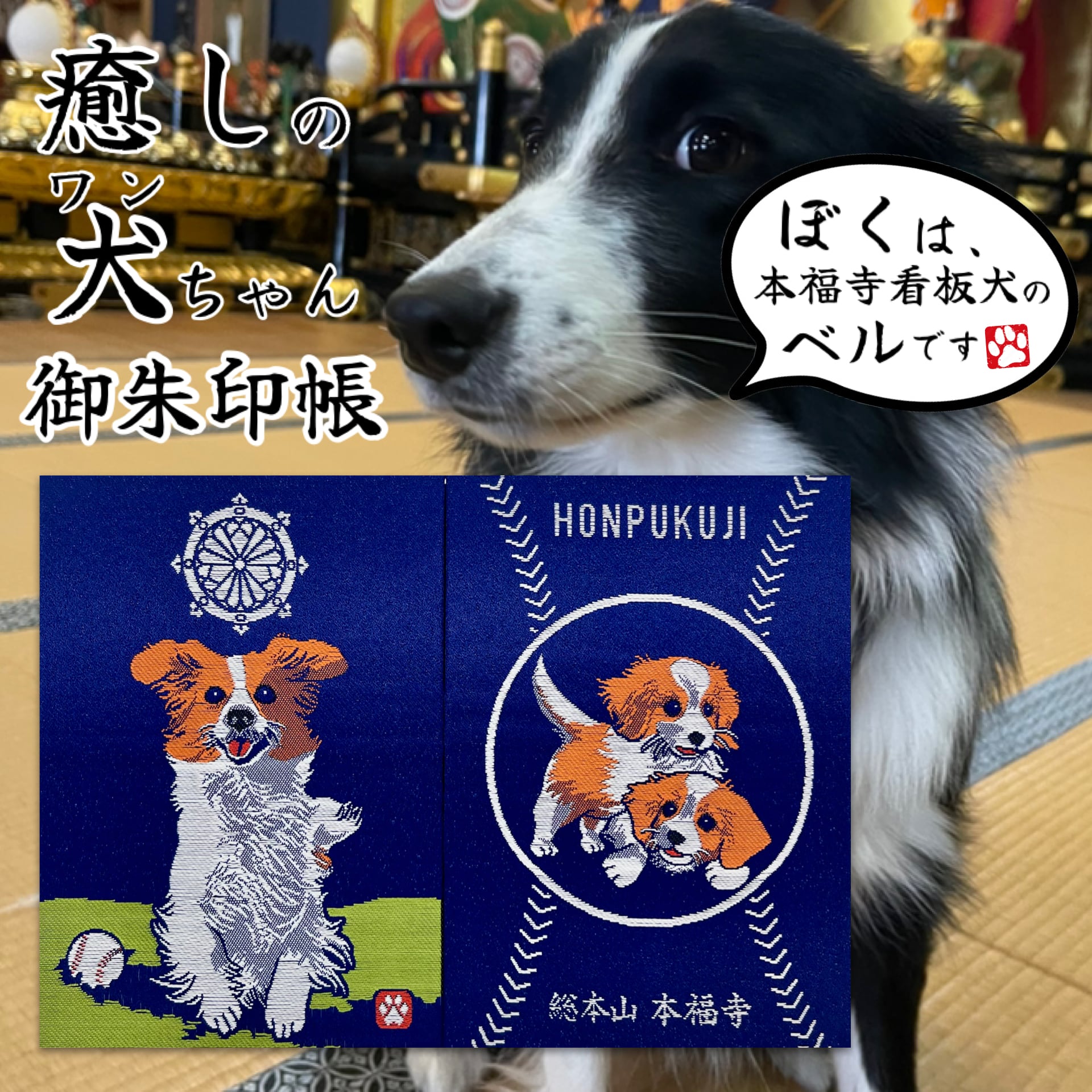 癒しの犬ワンちゃん 本福寺オリジナル御朱印帳 | honpukuji online site