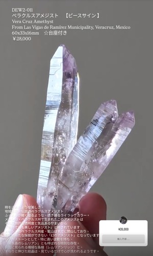 ⭔ お客様専用ページ ⭔ apple.tea_20.05.02様　