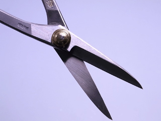 さつきさま専用！ さつき鋏 ステン 180mm No.827 兼進 Bonsai Trimming Scissors