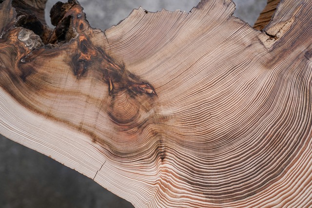 杉の輪切りの一枚板 折りたたみテーブル