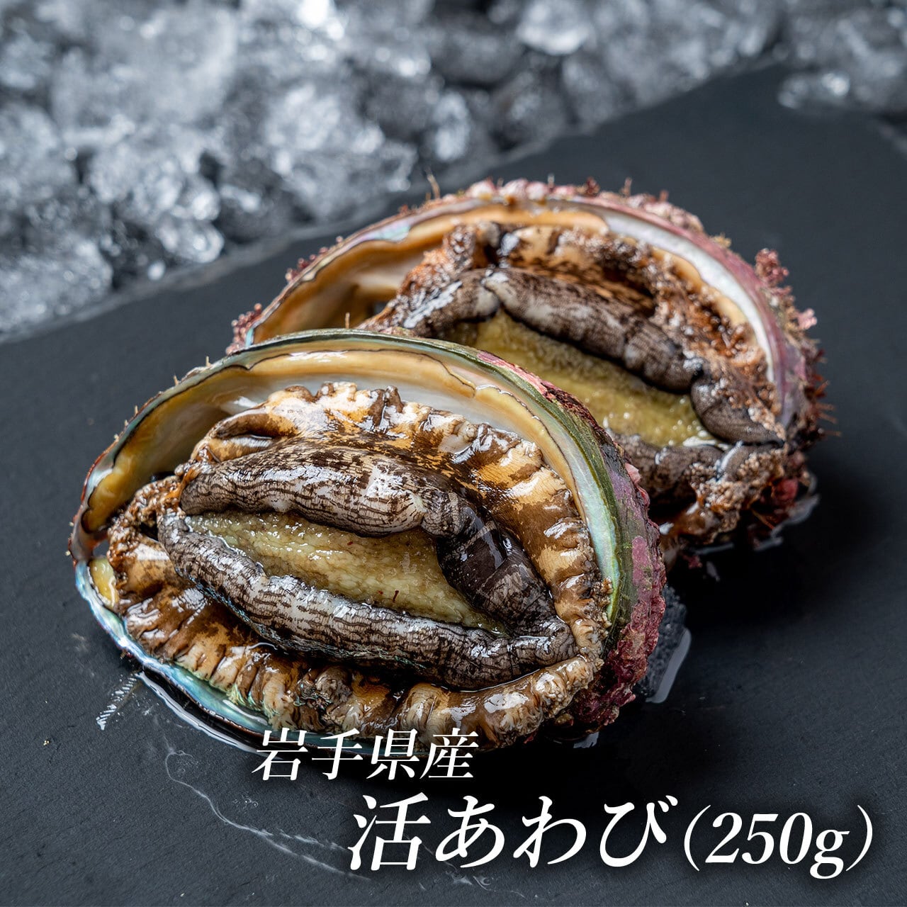 岩手県産 活あわび（250g） | 菅原商店