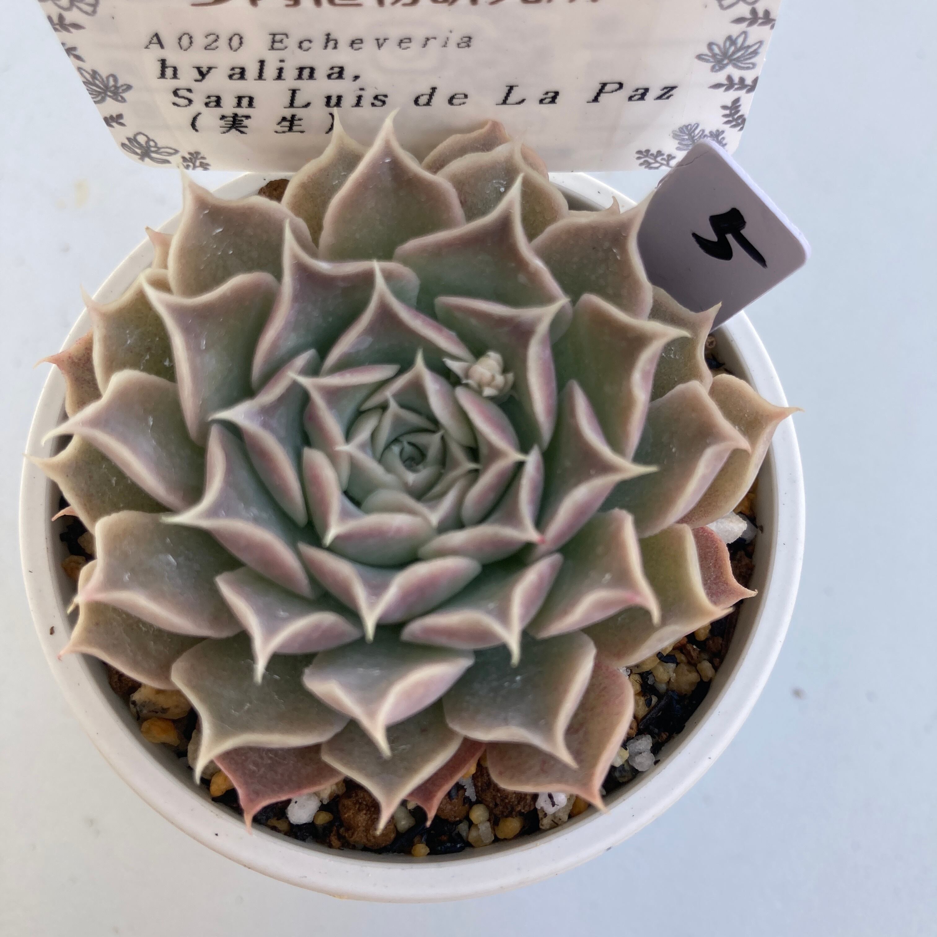 41a5063152adfa57a6ccd50b8cb4fb