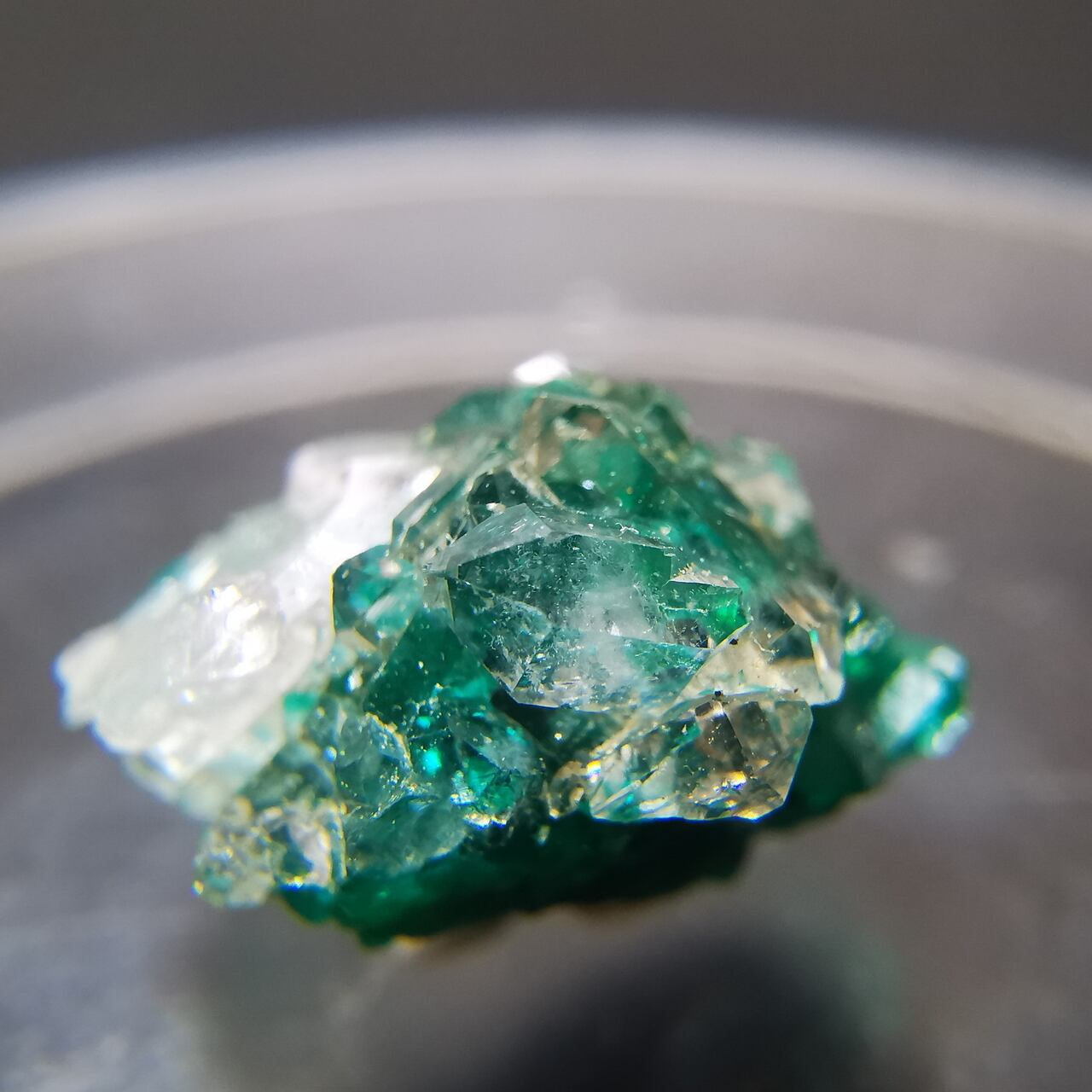 【レア】ダイオプテーズ コンゴ産 16×15×10mm Dioptase Crystal on Matrix -ダイオプテーズ- コンゴ産 DI015 | Atom