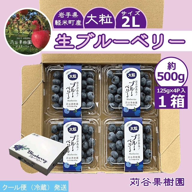 〈予約販売〉〈1箱1口〉【数量/期間限定】苅谷果樹園 生ブルーベリー約500g(125g×4パック、2L)