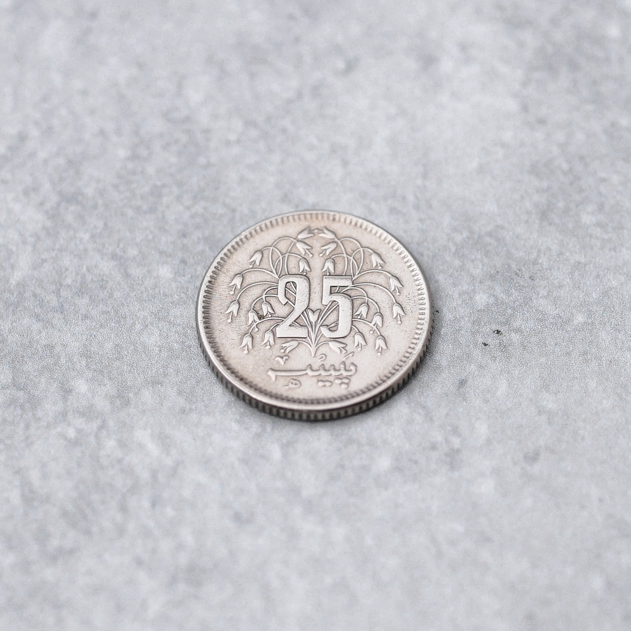 パキスタン 25パイサ コインリング｜PAKISTAN 25PAISA COINRING