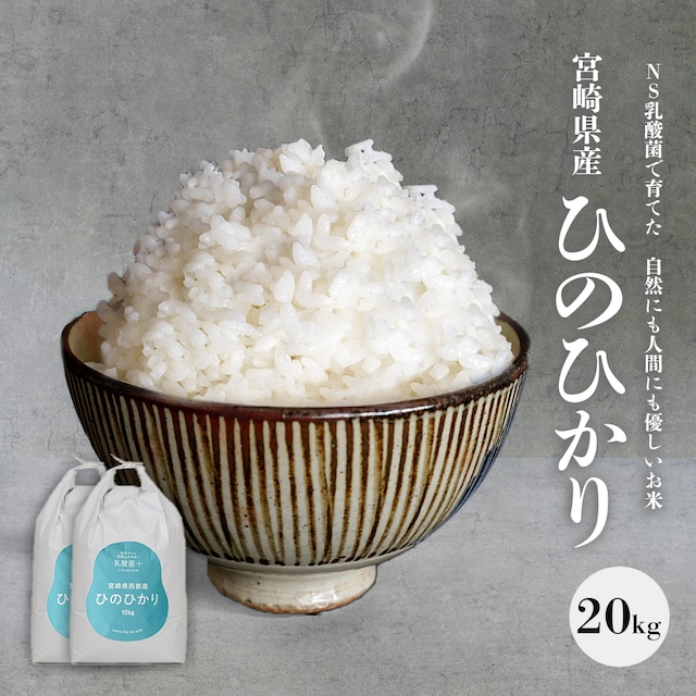 【新米】宮崎県産 ひのひかり NS乳酸菌配合 20kg（上白米） 2023年 新米