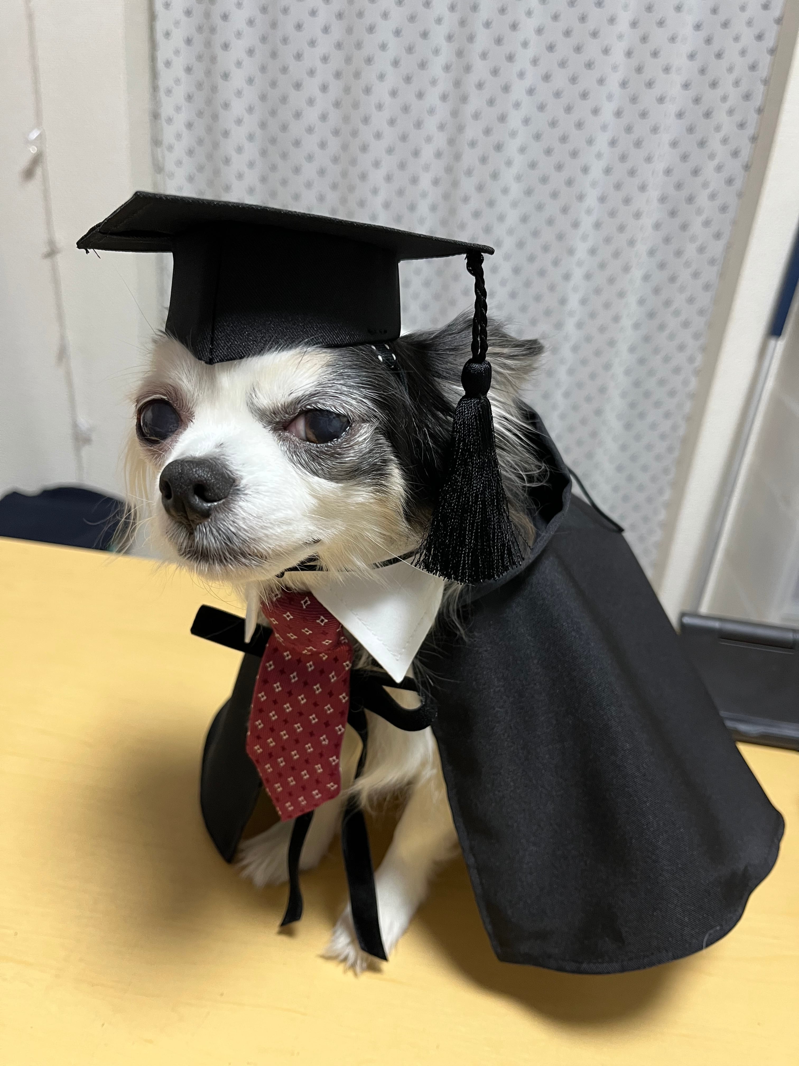 41aa61933a709f078052c7d6ebf6c9