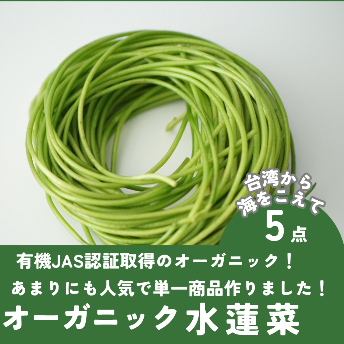 6/26まで！大好評によりカムバック【日本唯一の取扱い】5袋セット台湾 