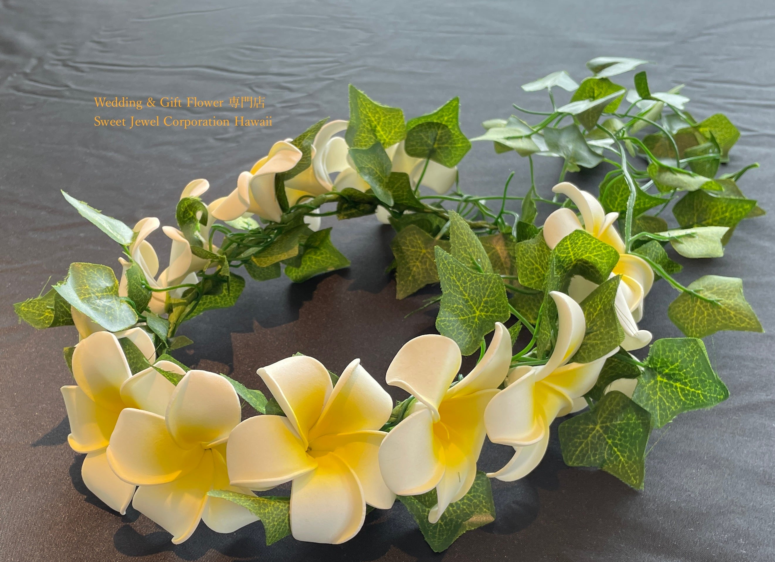 確認 プルメリア 【公式通販】