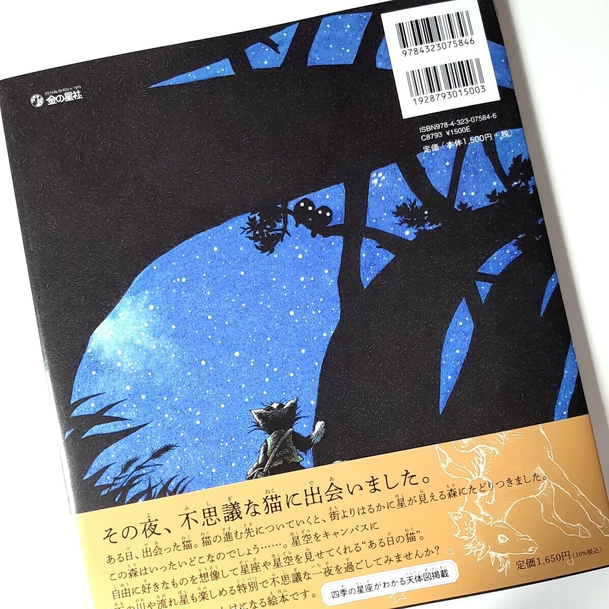 猫星夜ーある日の星空のおはなしー | ねこのみち