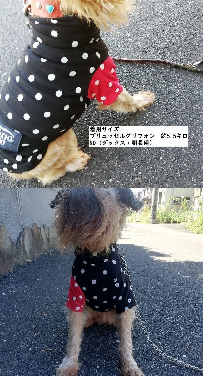 41aeb42f3780b47b846452f19d34b3