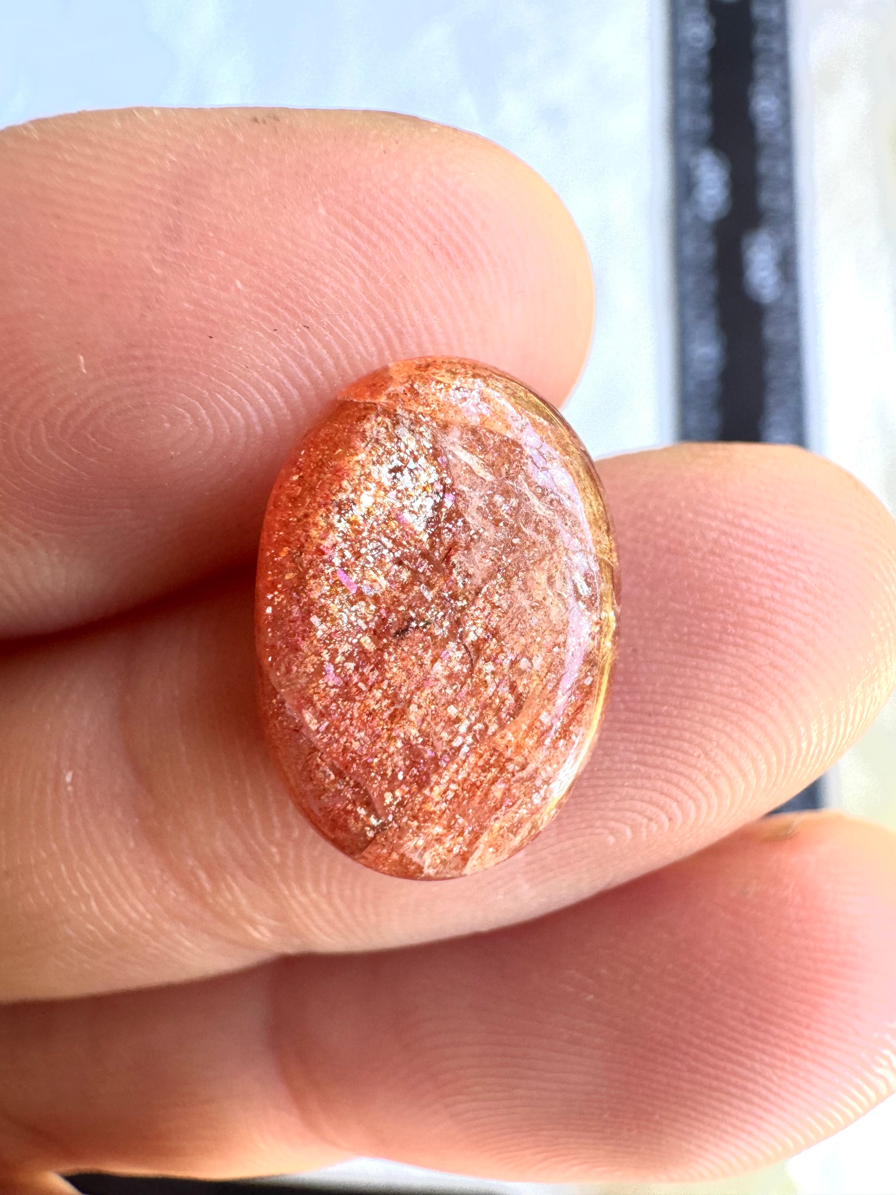 【閉店前スペシャル】笑顔を運ぶひかり|サンストーン9