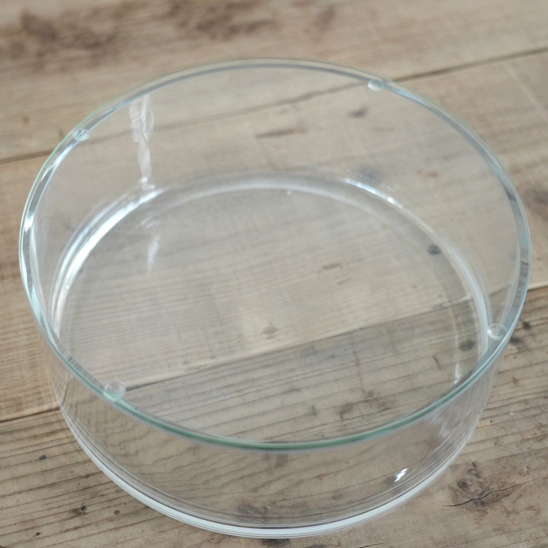 ガラス容器】上見の苔テラリウム容器（Φ250xh90mm）◇上見の作品に