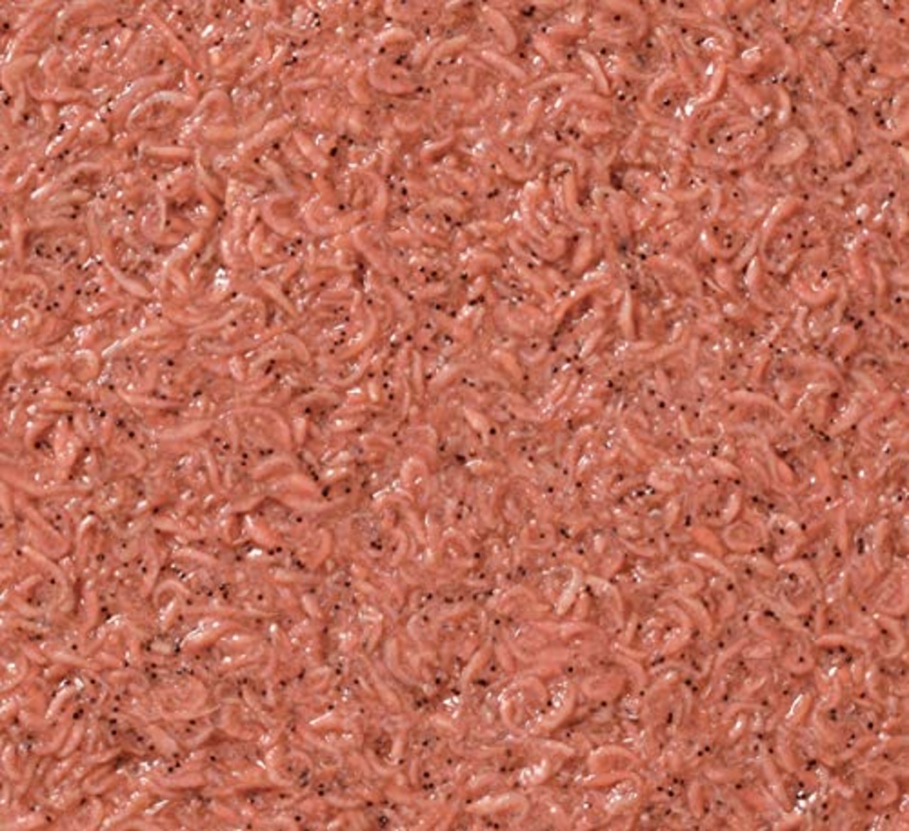 マルキュー(Marukyu) アミ姫 ハピネスサイズ 1200g
