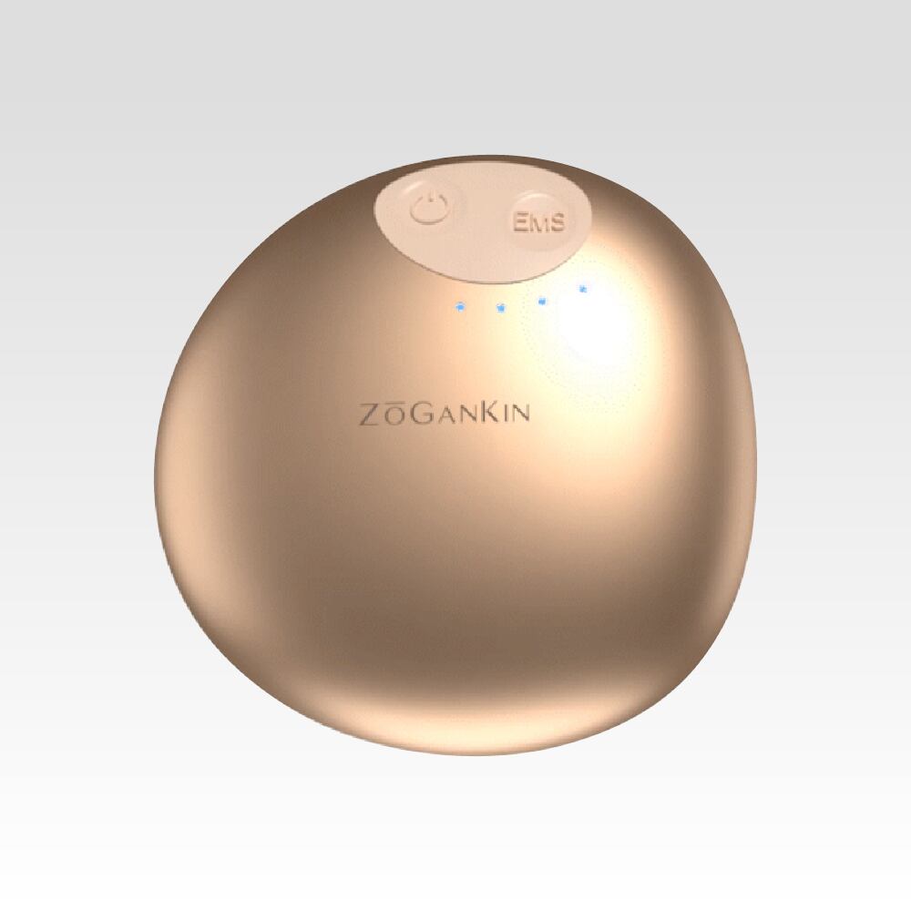 値下げ!ほぼ未使用♡【正規品】ZOGANKINゾーガンキン EMS機器 スカルプ ZOGANKIN ゾーガンキンスカルプ | salon de Ahn online shop