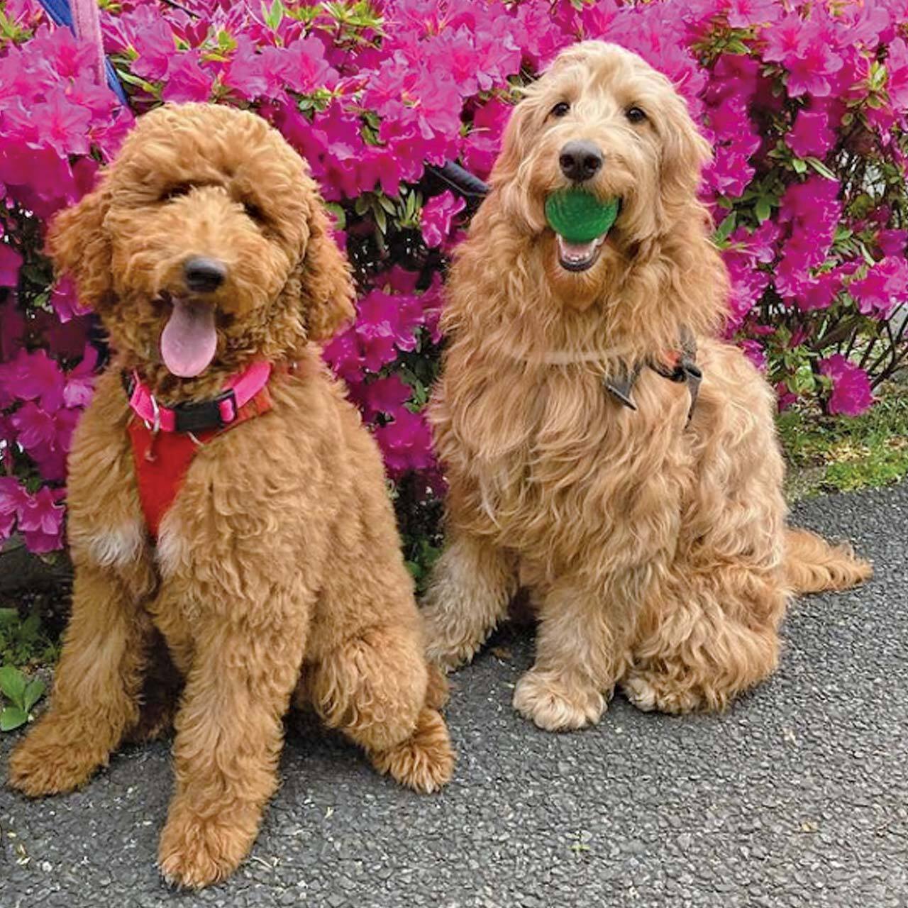 【ご予約/KL20251210】ご予約専用