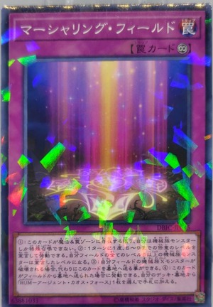 マーシャリング・フィールド【DBIC-JP045】[NP]