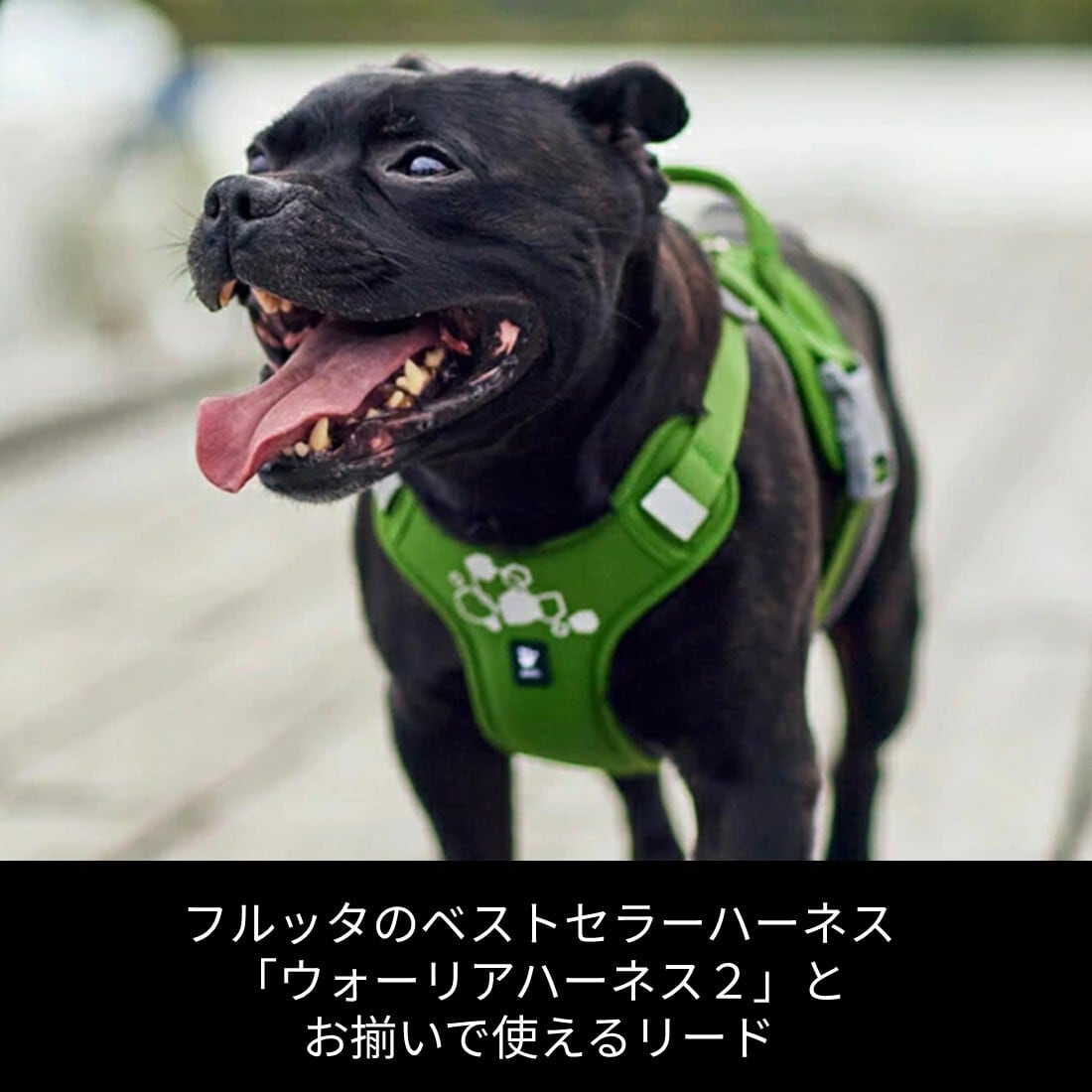 フィンランドのドッグブランド【Hurtta】【フルッタ】・ウォーリア