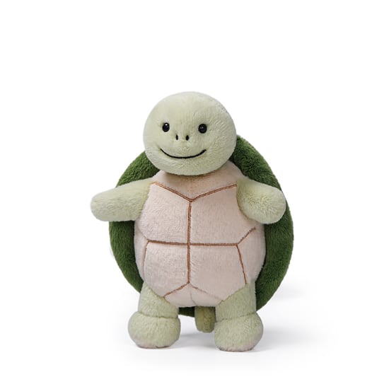 Naughty Sea Turtle_MC400300