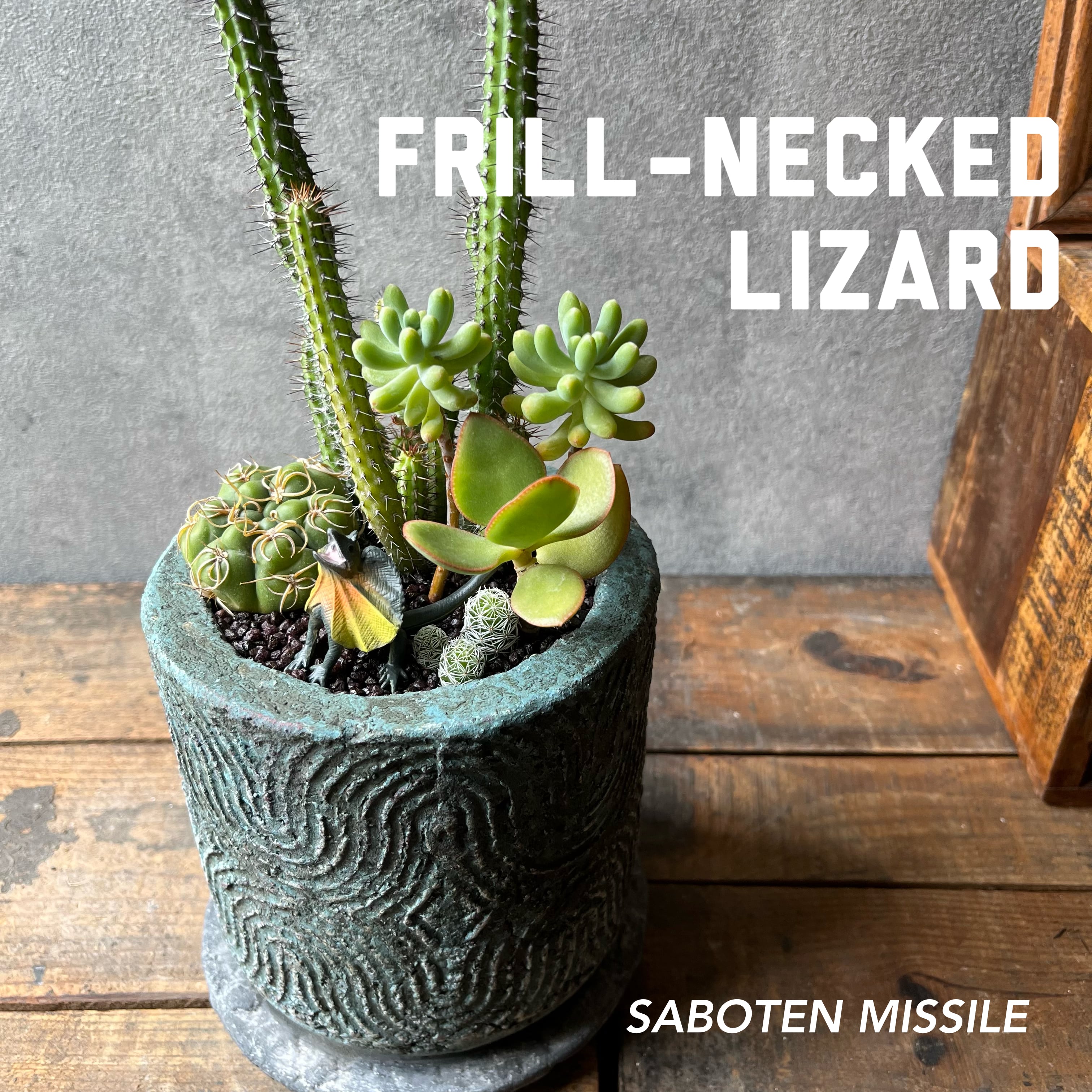 ★緊急値下げ★一点物★エリマキトカゲ 手作り陶芸品 ☆緊急値下げ☆一点物☆エリマキトカゲ 手作り陶芸品