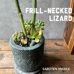 FRILL-NECKED LIZARD エリマキトカゲ